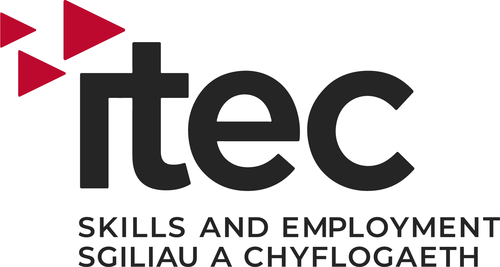 30419315 aed7 4fc7 8873 1d939544dc31 Itec Skills and Employment
